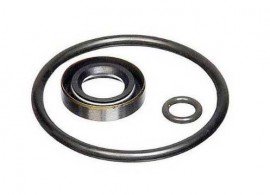 Fluke P5523SK Seal Kit