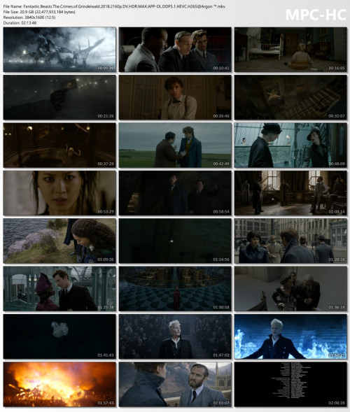 Fantastic.Beasts.The.Crimes.of.Grindelwald.2018.2160p.DV.HDR.MAX.APP-DL.DDP5.1.HEVC.H265Argon-.mkv_thumbs.jpg