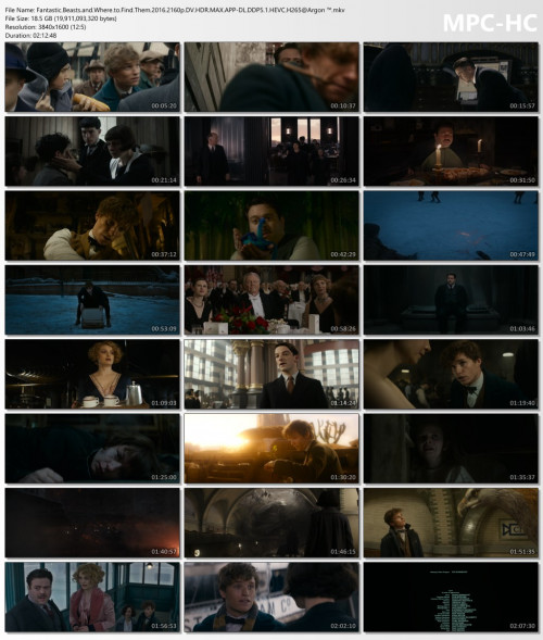 Fantastic.Beasts.and.Where.to.Find.Them.2016.2160p.DV.HDR.MAX.APP-DL.DDP5.1.HEVC.H265Argon-.mkv_thumbs.jpg