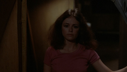Friday.the.13th.1980.1080p.iT.WEB-DL.DDP5.1.H264Argon.mkv_snapshot_00.46.44.217.jpg