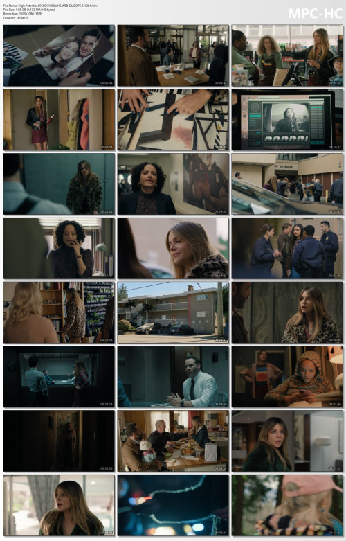 High.Potential.S01E01.1080p.HS.WEB-DL.DDP5.1.H264.mkv_thumbs.jpg