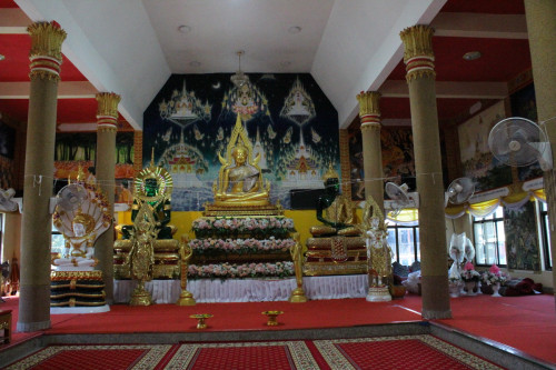 IMG_0381_resize3d7ecadc06be9fd6.jpg