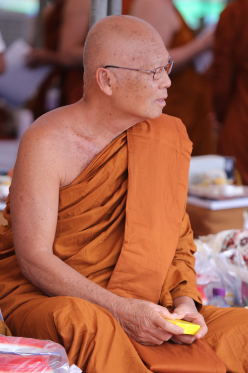 IMG_1520_resize.jpg