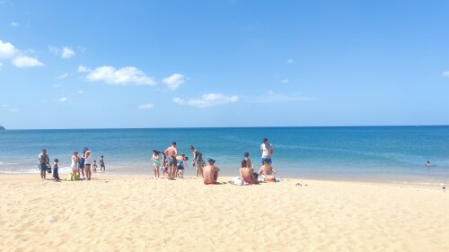 IMG_20240128_111328.jpeg
