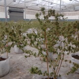 IMG_25660313_080206.th.jpeg