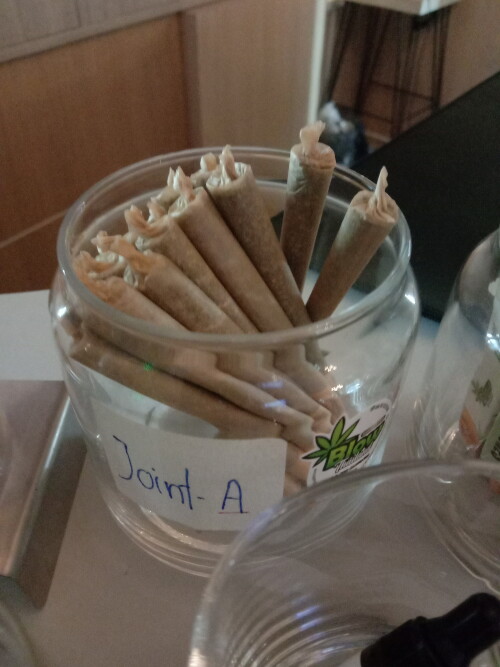 IMG_25661205_221202.jpeg