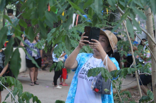 IMG_7274_resize462a7e727addc8ee.jpg