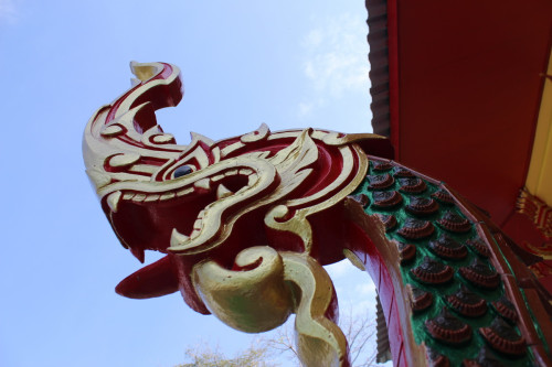 IMG_8698_resize2f6e8ca71c87d0f6.jpg