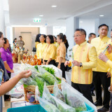 JobfairRayong (2)