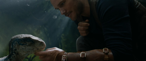 Jurassic.World.Fallen.Kingdom.2018.2160p.DV.HDR.iT.WEB-DL.DDP5.1.H265Argon-.mkv_snapshot_01.04.09.669.jpg