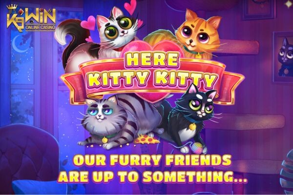 K9WIN เกม Here Kitty Kitty สล็อตนี่คิตตี้คิตตี้