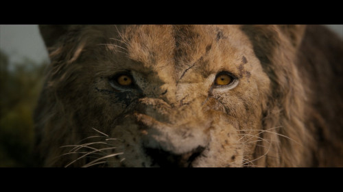 Kraven.the.Hunter.2024.1080p.NF.WEB-DL.DDP5.1.H264Argon-.mkv_snapshot_00.19.10_2025-03-25_20.00.01.jpg