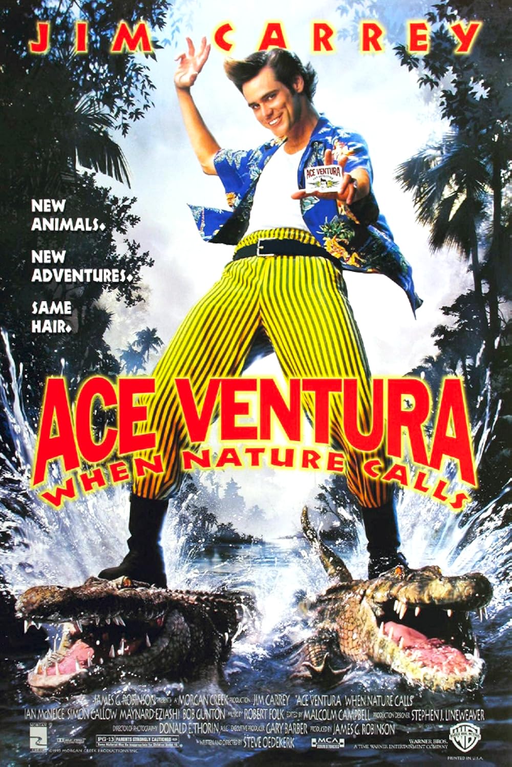 []-Ace Ventura: When Nature Calls  ǹǴ (1995) ҡ-Blu-ray.MPEG-2.DVD to MKV. [Master]-[ҡ (Master)]