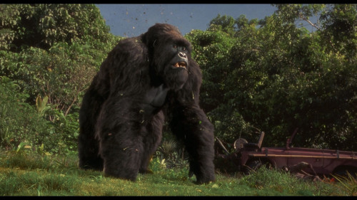 Mighty.Joe.Young.1998.1080p.DSNP.WEB-DL.DDP5.1.H264Argon-.mkv_snapshot_00.16.03.425.jpg