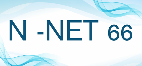 N--NET-66.png