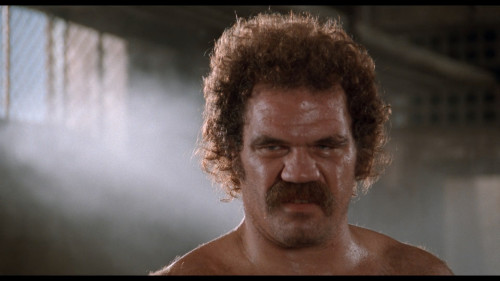 Naked.Gun.33.1..3.The.Final.Insult.1994.1080p.NF.WEB-DL.DDP5.1.H264Argon.mkv_snapshot_00.35.40.607.jpg