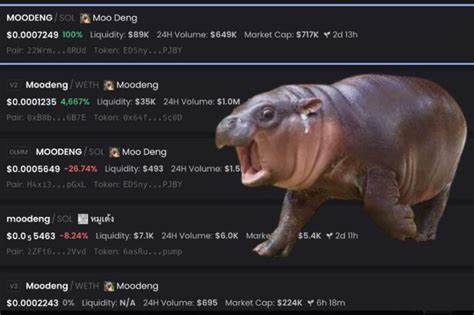 .ฉุดไม่อยู่! มูลค่าตลาดเหรียญคริปโท หมูเด้ง พุ่งทะลุ 200 ล้านดอลลาร์.