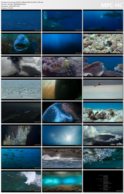 Our.Oceans.S01E01.1080p.NF.APP-DL.DDP5.1.VP9.mkv_thumbs.jpg