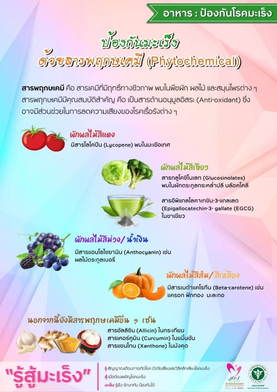 อาหารป้องกันโรคมะเร็ง | ป้องกันมะเร็งด้วยสารพฤกษเคมี (Phytochemical)
