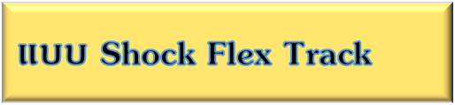 Shock Flex Track