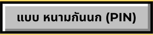 Ẻ PIN
