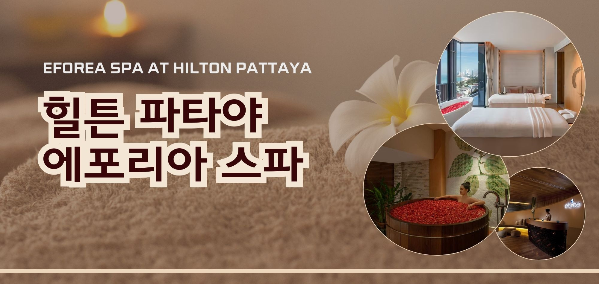 https://img2.pic.in.th/pic/Price-information-banner-36.jpg