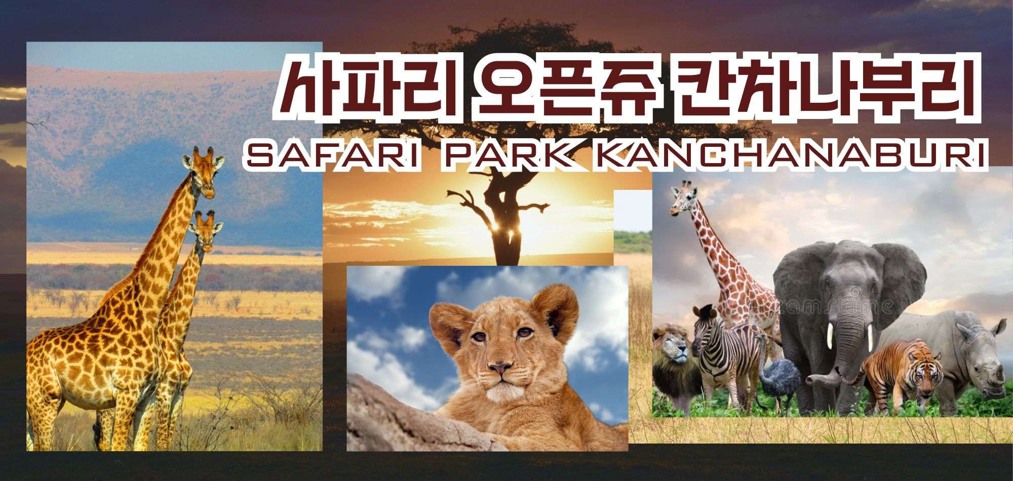 https://img2.pic.in.th/pic/Price-information-banner-3ab5243cb35da5d92.jpg