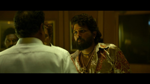 Pushpa.2.The.Rule.Reloaded.Version.2024.1080p.NF.WEB-DL.TELUGU-MULTI.DDP5.1.H264Argon-.mkv_snapshot_00.41.58.541.jpg