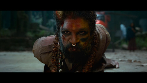 Pushpa.2.The.Rule.Reloaded.Version.2024.1080p.NF.WEB-DL.TELUGU-MULTI.DDP5.1.H264Argon-.mkv_snapshot_03.24.00.844.jpg