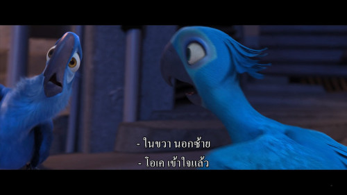 Rio.2011.1080p.HS.WEB-DL.DDP5.1.H264Argon-.mkv_snapshot_00.32.37.347.jpg