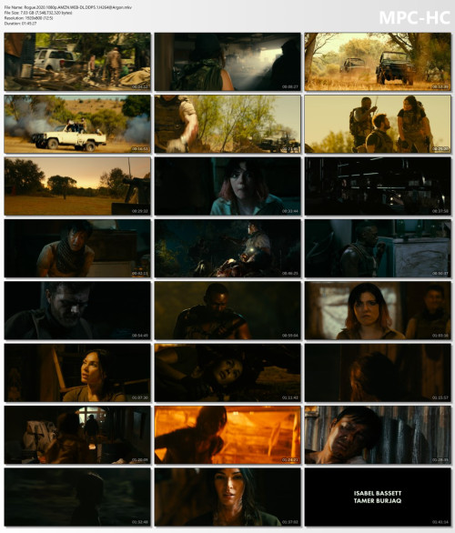 Rogue.2020.1080p.AMZN.WEB-DL.DDP5.1.H264Argon.mkv_thumbs.jpg