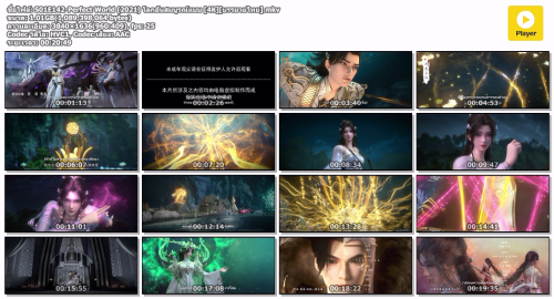 S01E142-Perfect-World-2021--4K.mkv.png