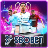 SBO-min