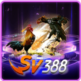 SV388-min