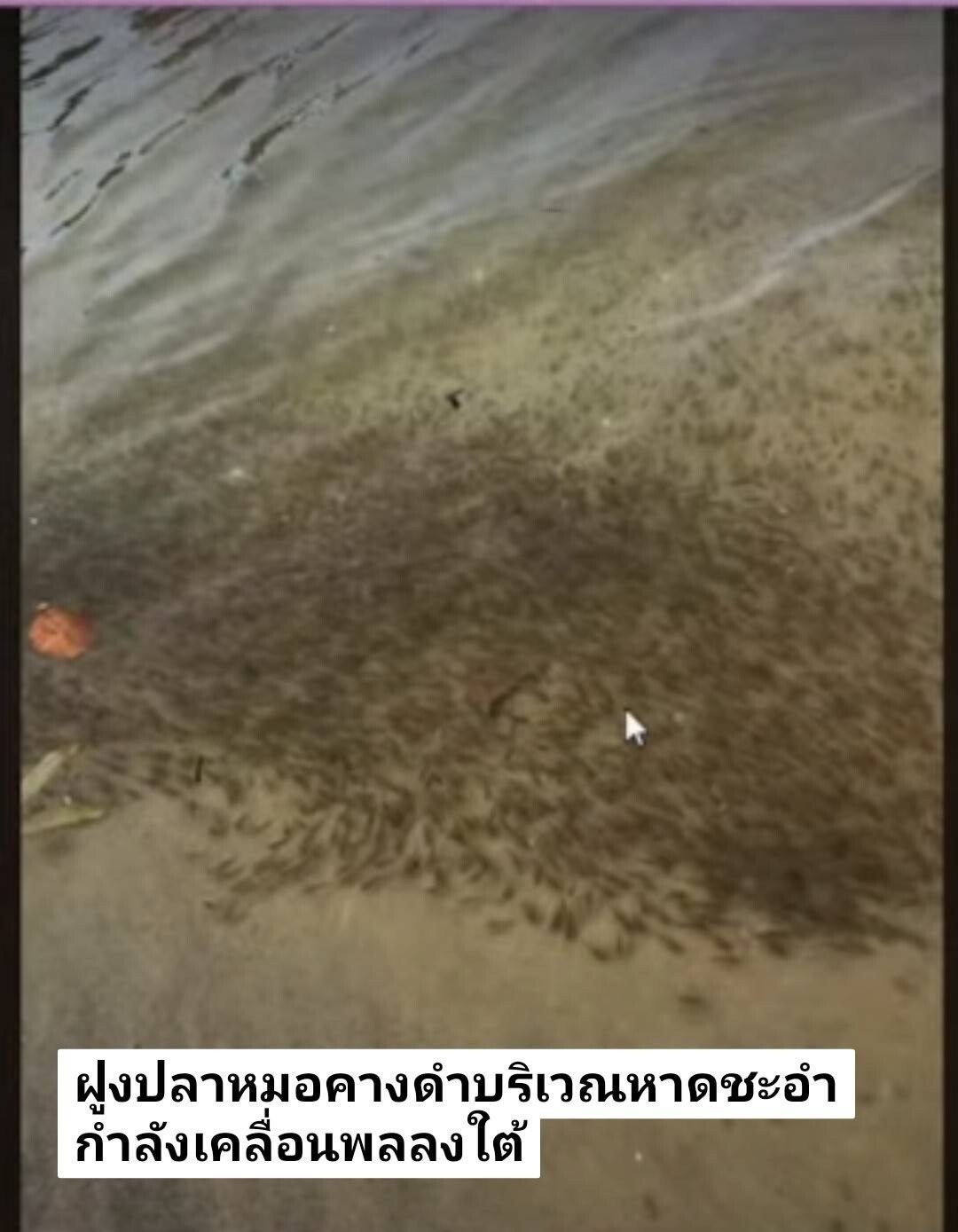 S 259743759 0
