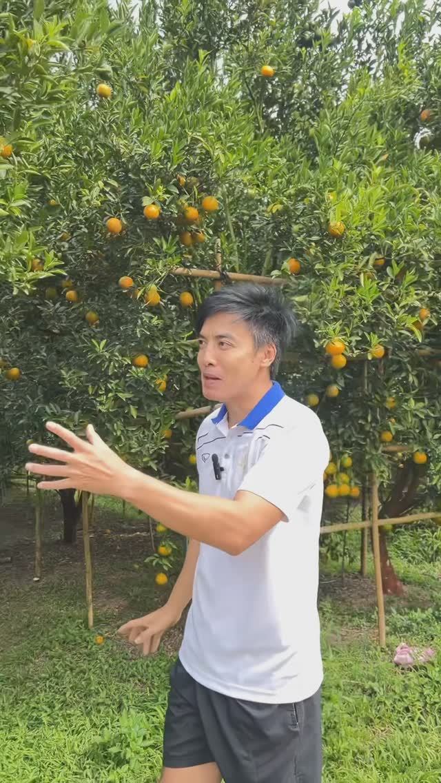 SaveClip App 481845873 2327098467645768 7265140785170695950 n