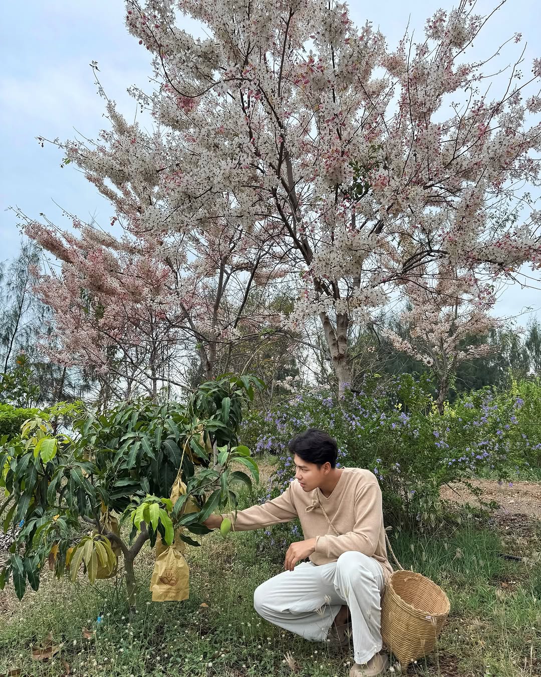 SaveClip App 482856186 18492763150025030 260017791948851416 n