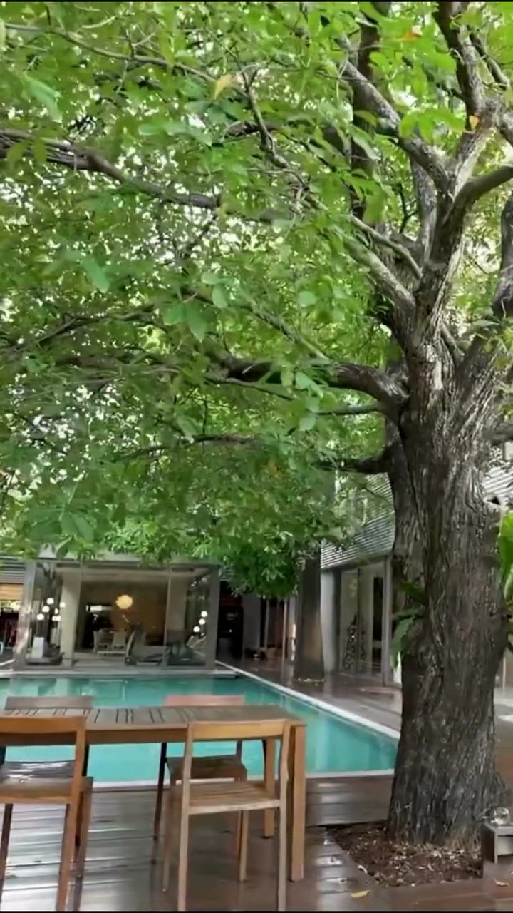 SaveClip App 73427B275B8FC9A9302CE1218459E2B1 video dashinit mp4 000007066