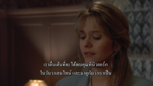 Sleepless.in.Seattle.1993.1080p.NF.WEB-DL.DDP5.1.H264Argon-.mkv_snapshot_01.13.50.243.jpg