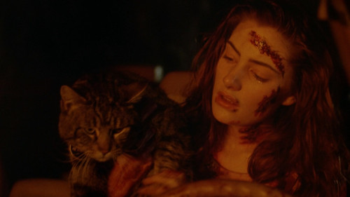 Sleepwalkers.1992.1080p.iT.WEB-DL.DDP2.0.H264Argon-.mkv_snapshot_01.25.09.233.jpg