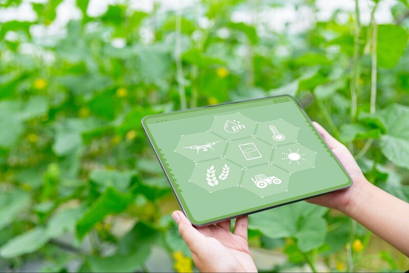 Smart Farm คืออะไร