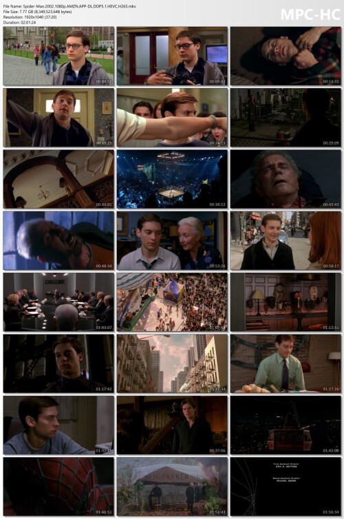 Spider-Man.2002.1080p.AMZN.APP-DL.DDP5.1.HEVC.H265.mkv_thumbs.jpg