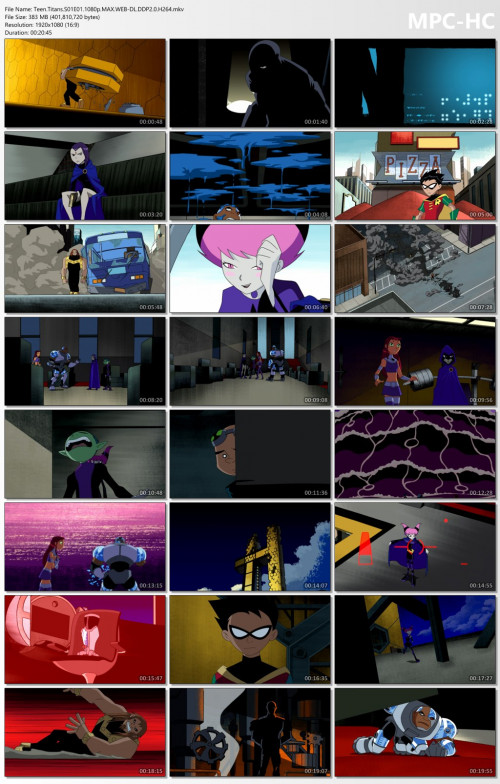 Teen.Titans.S01E01.1080p.MAX.WEB-DL.DDP2.0.H264.mkv_thumbs.jpg