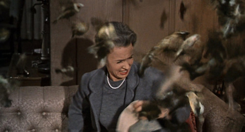 The.Birds.1963.1080p.iT.WEB-DL.DDP2.0.H264Argon-.mkv_snapshot_00.54.57.008.jpg