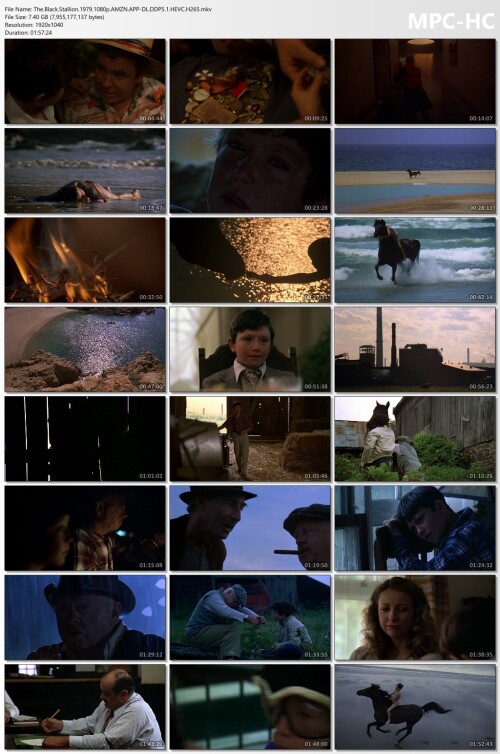 The.Black.Stallion.1979.1080p.AMZN.APP-DL.DDP5.1.HEVC.H265.mkv_thumbs.jpg