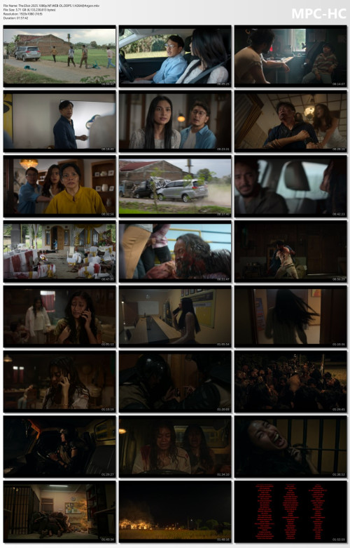 The.Elixir.2025.1080p.NF.WEB-DL.DDP5.1.H264Argon.mkv_thumbs.jpg