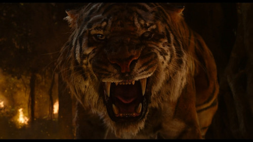 The.Jungle.Book.2016.1080p.HS.WEB-DL.DDP5.1.H264Argon.mkv_snapshot_01.29.46.748.jpg