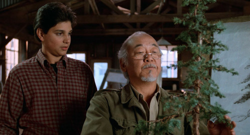 The.Karate.Kid.III.1989.1080p.AMZN.WEB-DL.DDP5.1.HEVC.H265Argon-.mkv_snapshot_00.34.29.770.jpg