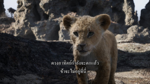 The.Lion.King.2019.1080p.DNSP.WEB-DL.DDP5.1.H264Argon-.mkv_snapshot_00.25.56_2025-03-26_22.55.51.jpg
