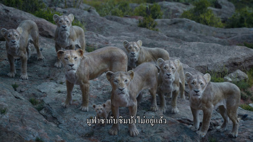The.Lion.King.2019.1080p.DNSP.WEB-DL.DDP5.1.H264Argon-.mkv_snapshot_00.49.35_2025-03-26_22.56.06.jpg